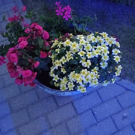 Klaudia Ubytování v soukromí Darłowo