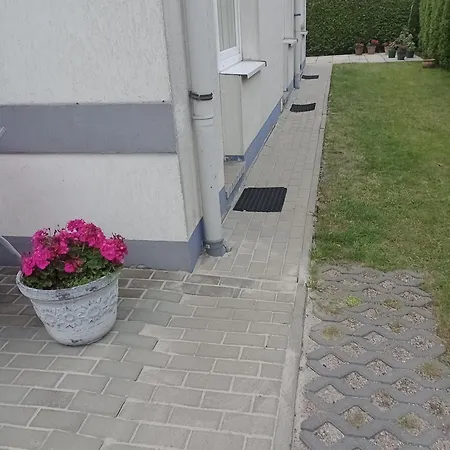 Klaudia Проживание в семье Дарлово