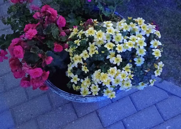 Klaudia Δωμάτια σε οικογενειακή κατοικία Darłowo